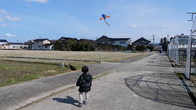 凧揚げ