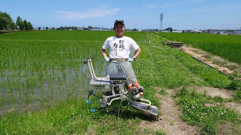 宇宙米の田んぼ