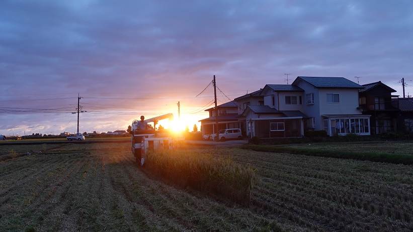 夕日