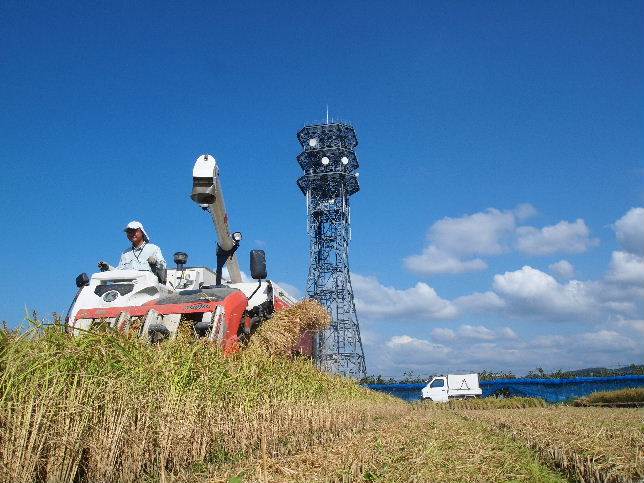 普通じゃないコシヒカリ刈り取り