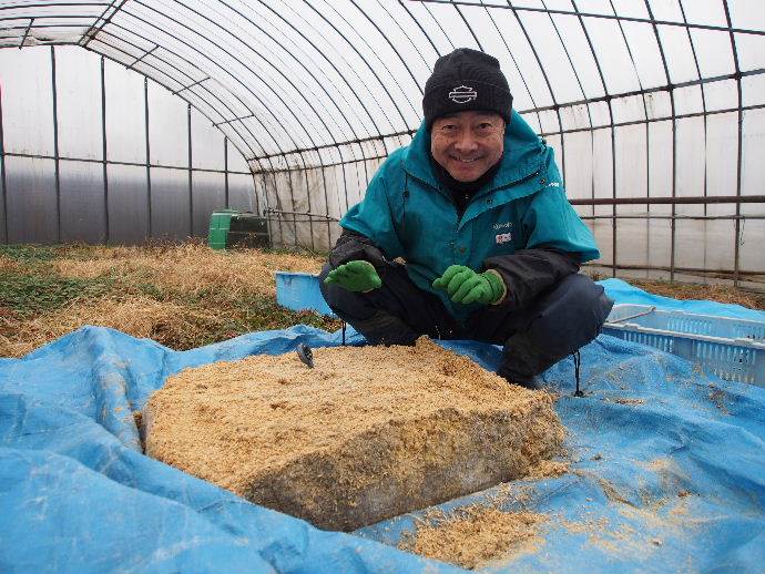 ボカシ肥料2回目