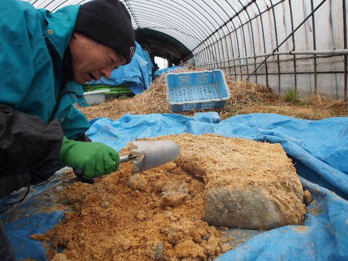 ボカシ肥料2回目