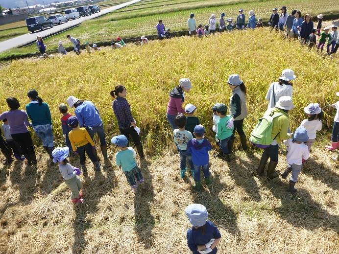 藤蔭幼稚園