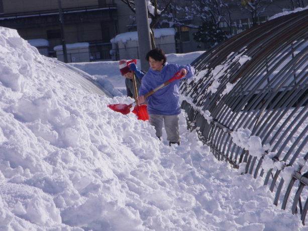 大雪の場合
