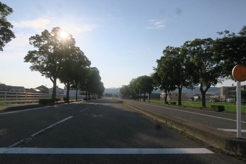県道41号線