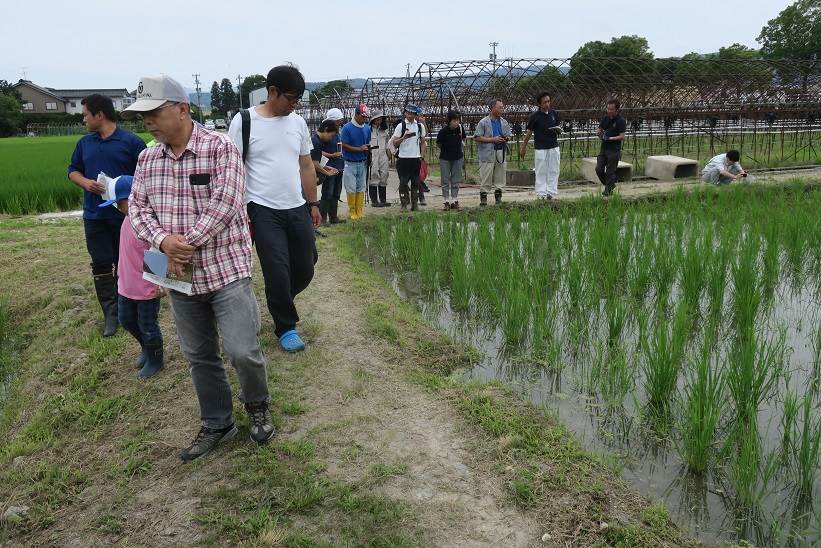 JAはくいの自然栽培