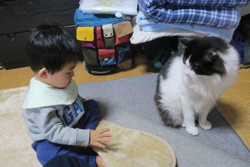 千晴くんとチョミゾウ