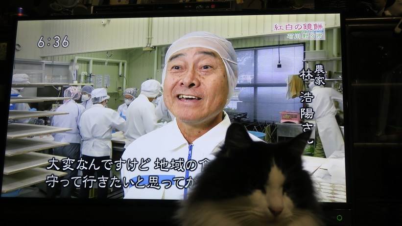 NHK