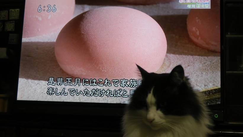 NHK