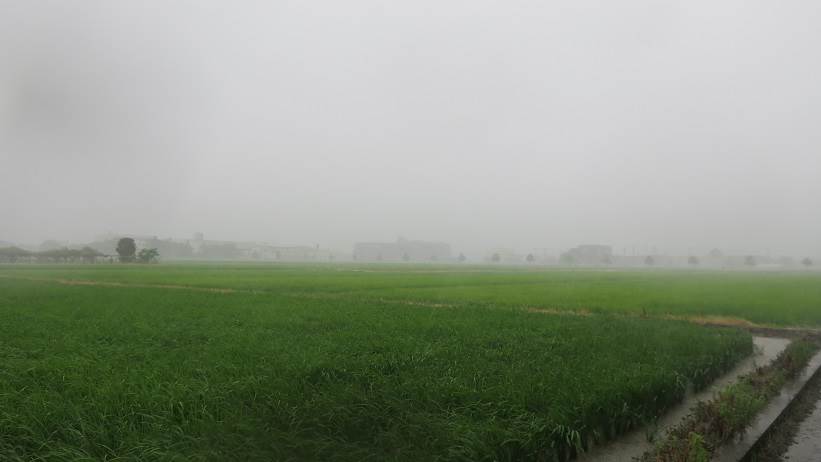 雨