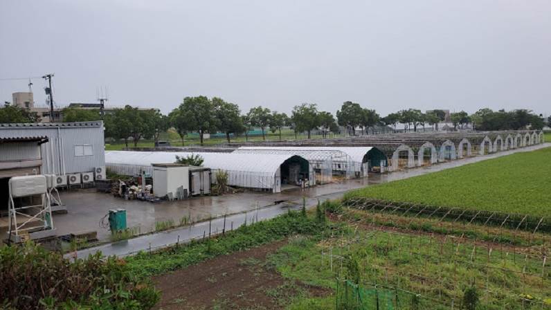 雨