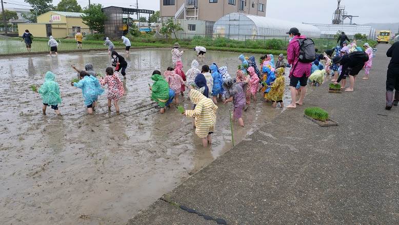 藤蔭幼稚園