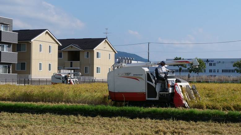 普通じゃないコシヒカリ