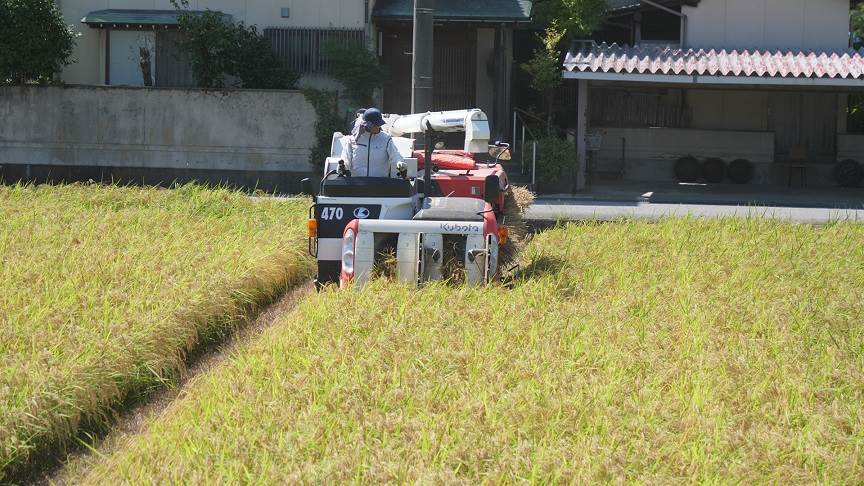 貴女とひとめぼれ