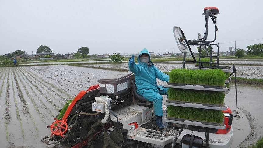 田植え