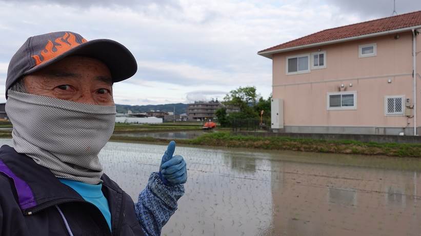 田植え