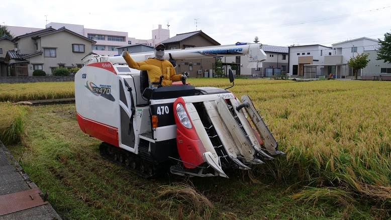 ひとめぼれ