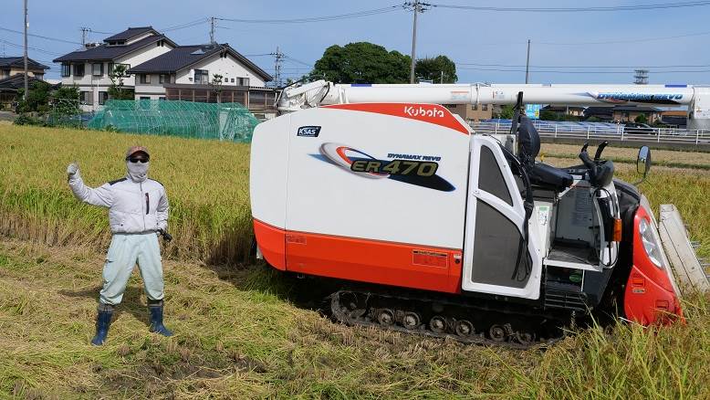 普通のコシヒカリ