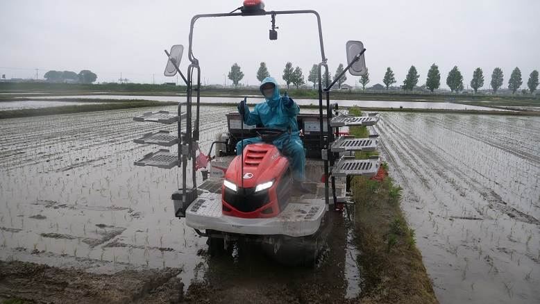 田植え