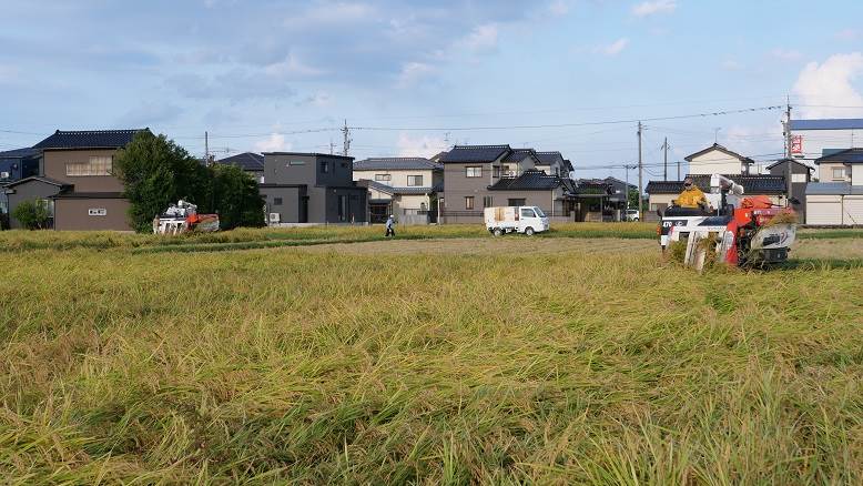 普通にミルキークィーン