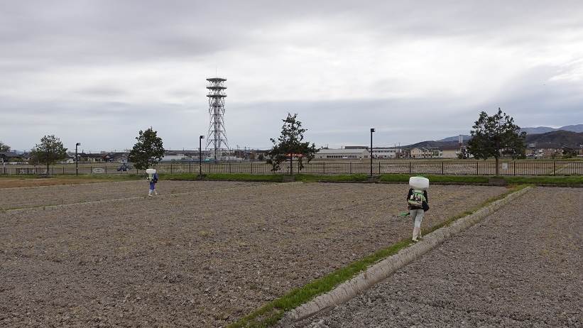 コシ二発くん散布