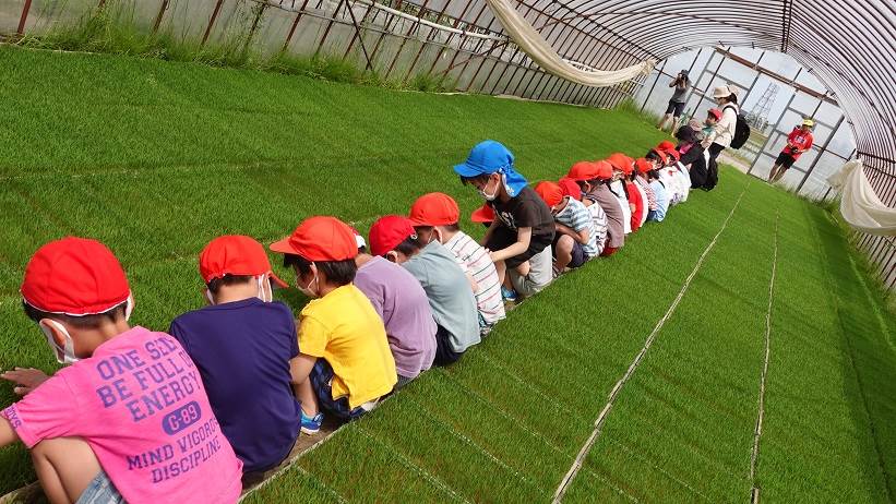 白銀幼稚園