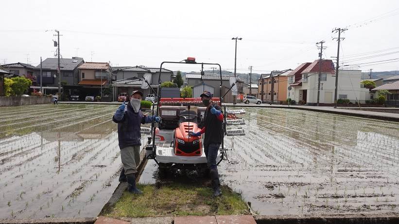 田植え