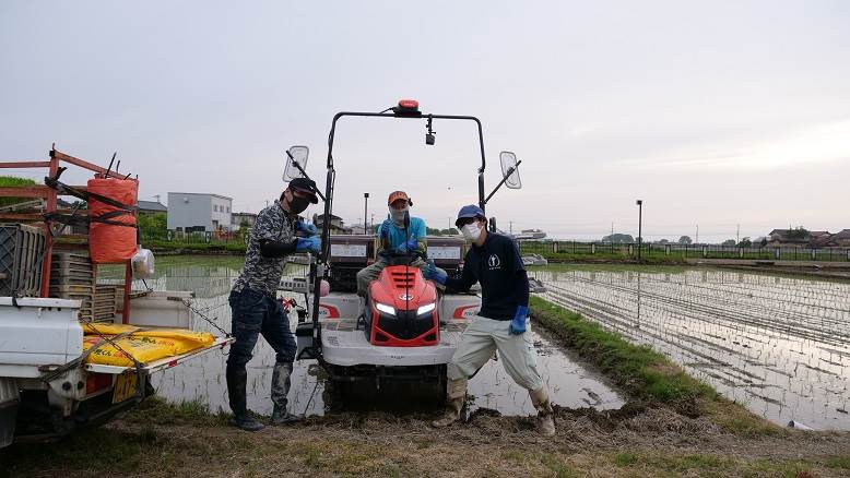 田植え