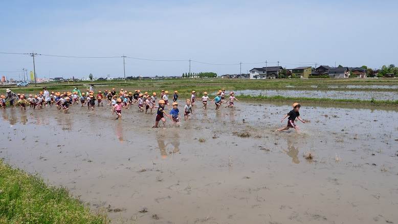 とくの幼稚園