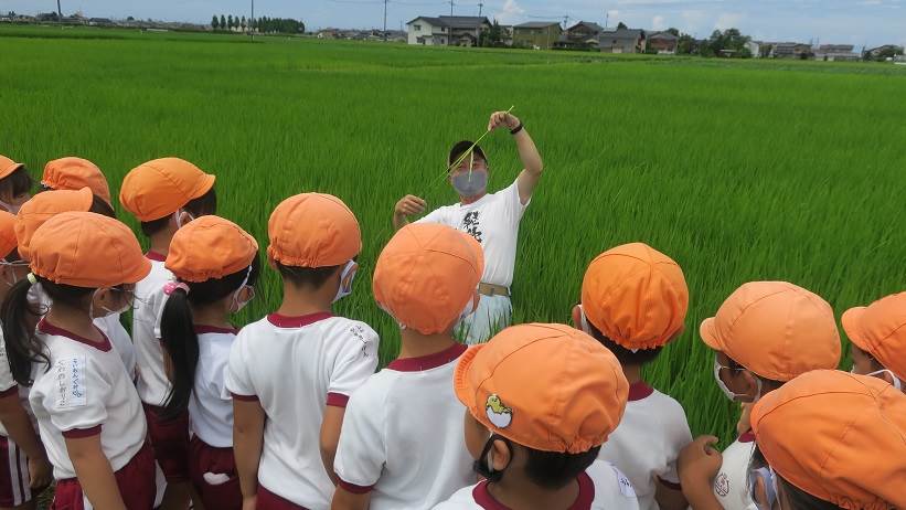 とくの幼稚園