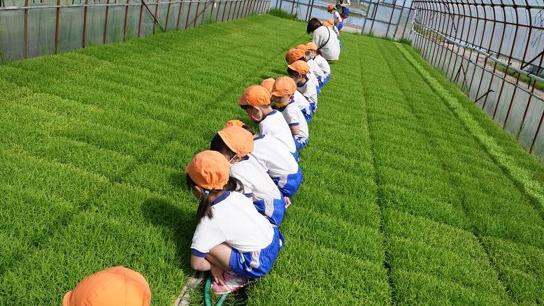 津幡とくの幼稚園