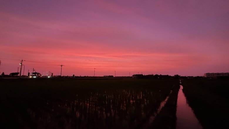 夕日