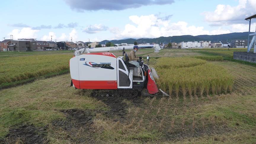 普通じゃないコシヒカリ