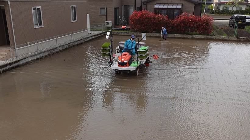 田植え