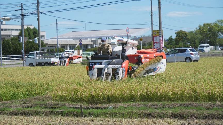 一番打者ハナエチゼン