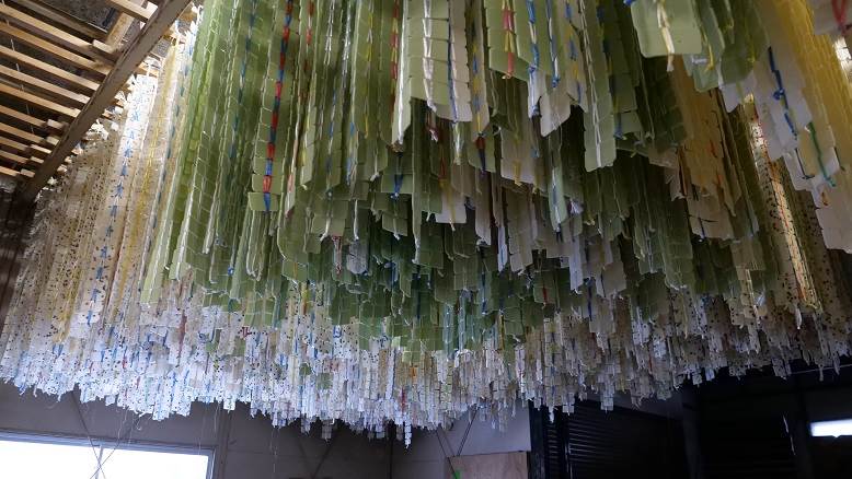 カキモチオーロラ